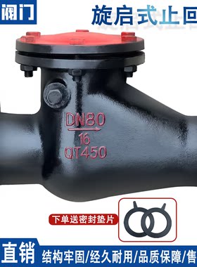 旋启式止回阀铸铁铜芯法兰止回阀