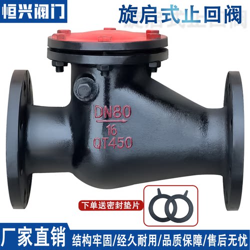 旋启式止回阀铸铁铜芯法兰止回阀
