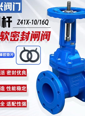 Z41X-10/16明杆弹性座封闸阀 软密封闸阀DN50 65 80 100 150 200