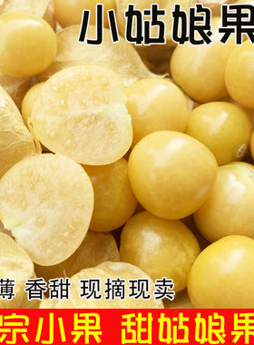 小金豆2斤东北姑娘果装新鲜应当季水果黄菇娘灯笼果洋菇凉果特产