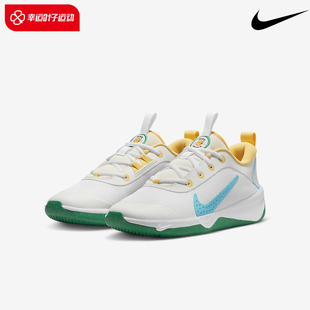 COURT輕便運(yùn)動(dòng)鞋 Nike耐克女鞋 FJ7719 MULTI OMNI 2023冬季 新款