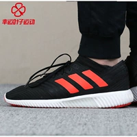 Giày nam QC Adidas 2018 xuân mới Nemeziz Messi tập luyện giày bóng đá thông thường CP9115 - Giày bóng đá giày thể thao cao cổ