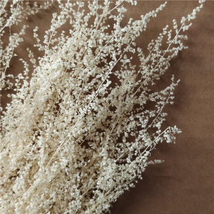 永生花米蒿草花干花花束家居摆件婚礼装饰香薰蜡烛花材diy材料包