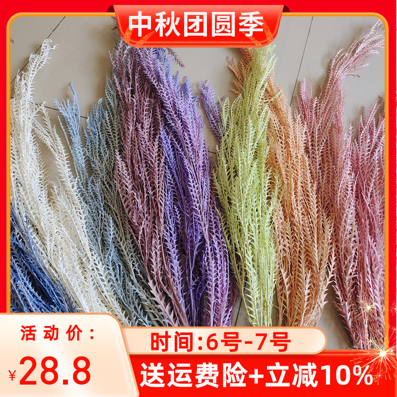 剑齿叶锯齿叶花万家永生花高端