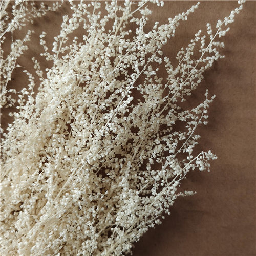 永生花米蒿草干花花束花万家装饰