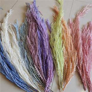 剑齿叶进口高端永生花花束diy锯齿叶羊齿叶高级感情人节相框音响