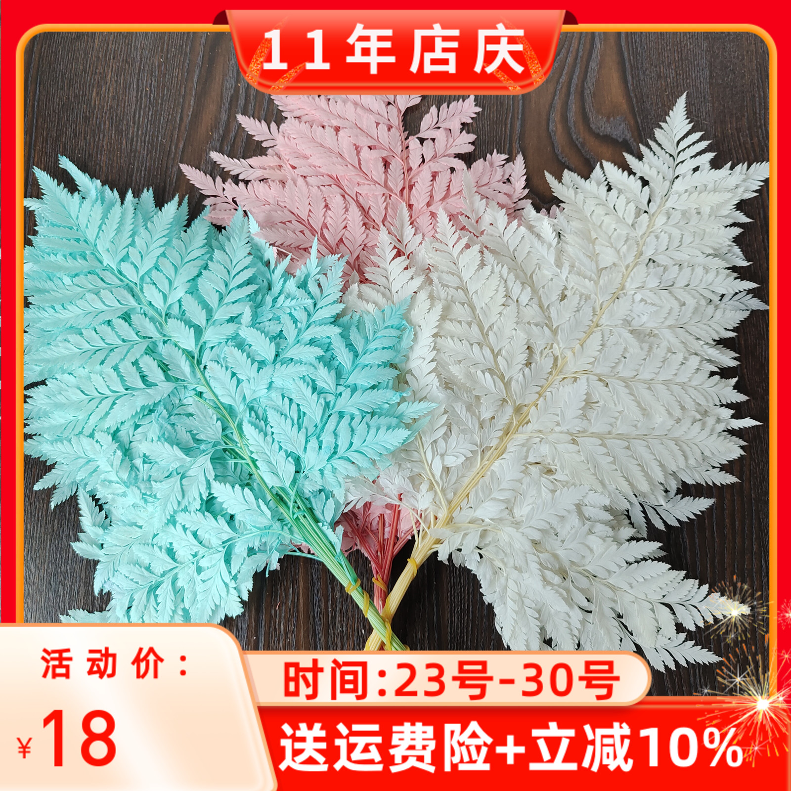 diy永生花一包10片摆拍高山羊齿