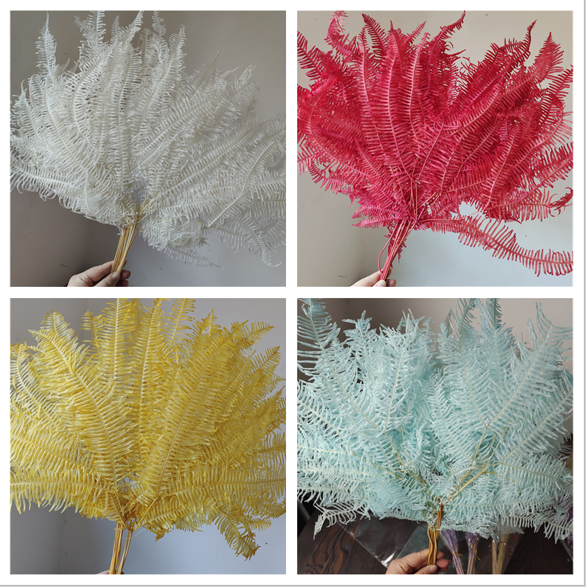 永生芒萁狼萁芒叶蕨叶玻璃罩浮游混搭花材插花装饰家居花束材料包,鲜花速递/花卉仿真/绿植园艺,永生花,淘宝优惠券,粉丝福利购,淘宝优惠卷