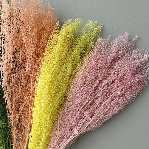 礼盒浮游保鲜迷你翠扇家居永生花