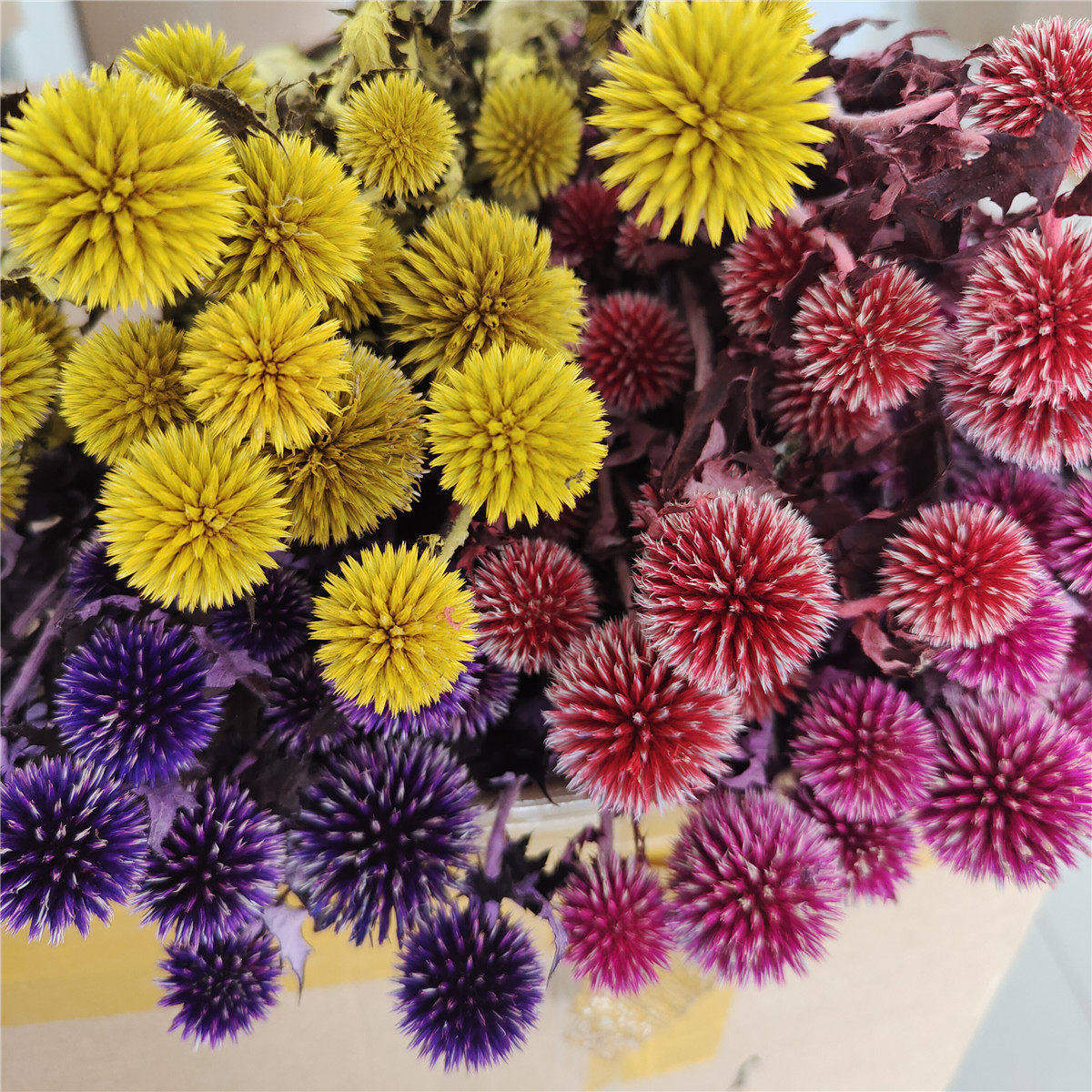 蓝星球干花永生花装饰图片