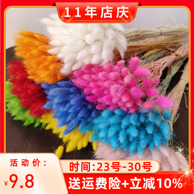 云南干花兔尾草礼物草家居装饰