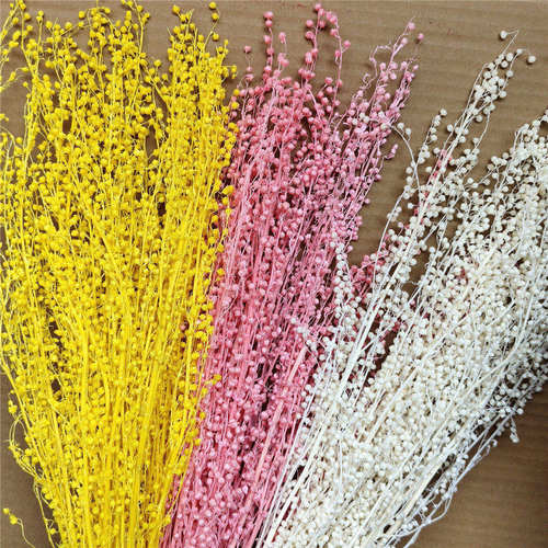 迷你豆永生花装饰花束