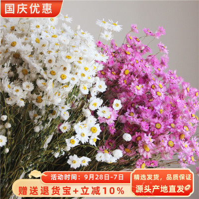 真花鲁丹鸟干花家居装饰ins北欧