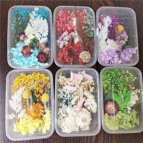 材料包相框花万家零散干花永生花