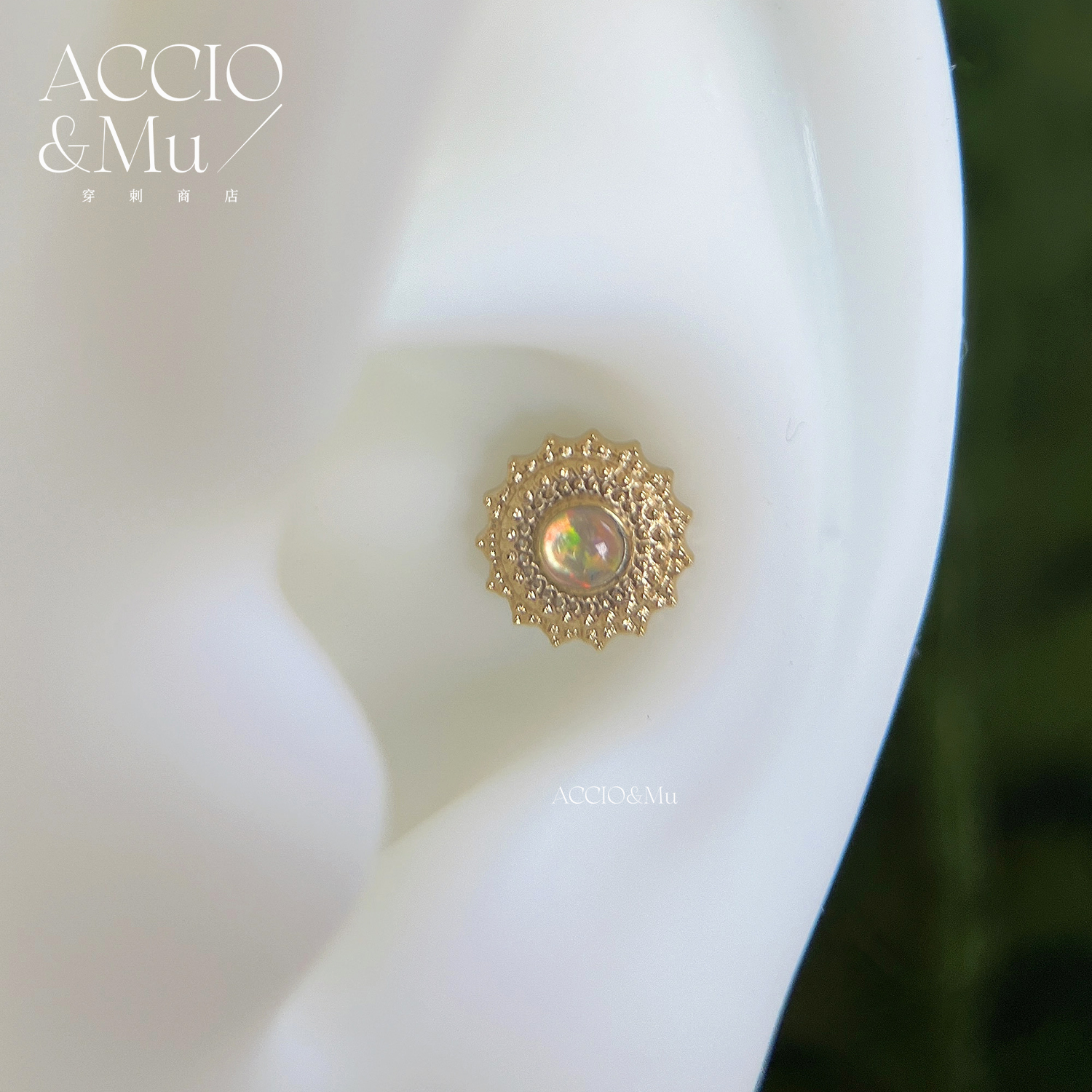 ACCIO&Mu医用镀金钛合金澳宝耳钉波西米亚风内螺纹鼻钉埋钉饰品