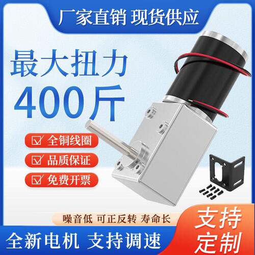 5882-45zy蜗轮蜗杆直流自锁速电机大扭矩低速 12V 24V调速马达