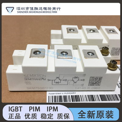 SKM75GB123D SKM75GB128D SKM100GB128 SKM145GB123D SKM50GB12T4