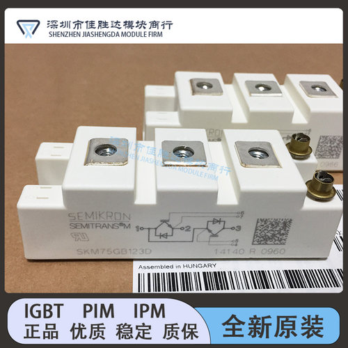 SKM75GB123D SKM75GB128D SKM100GB128 SKM145GB123D SKM50GB12T4