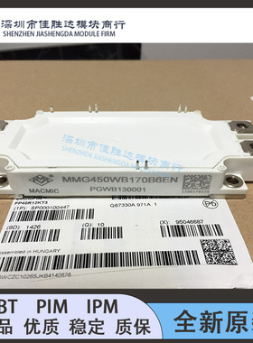 MMG450WB170B MMG450WB170B6EN MMG600WB170B6EN MMG300WB170B