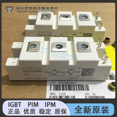 SKM75GB176D SKM100GB176D SKM145GB176D BSM75GB170DN2