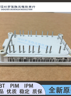 P451A1105 P452A1106 P452A1105 P452A1104 P451A1101 P451A1103