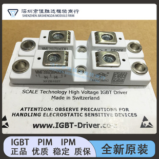 MMF300Y060DK1 MMF300Y060DK1B MMF200ZB040DK1 MMF300Y040DK1C