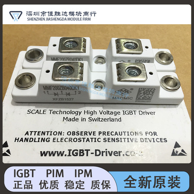 MMF300Y060DK1 MMF300Y060DK1B MMF200ZB040DK1 MMF300Y040DK1C