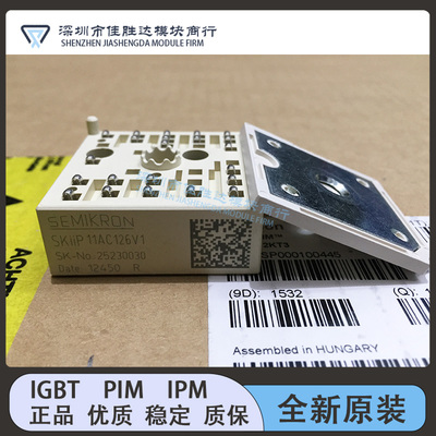 SKIIP13AC126V1 SKIIP12AC12T4V1 SKIIP11AC126V1 SKIIP11AC126V1