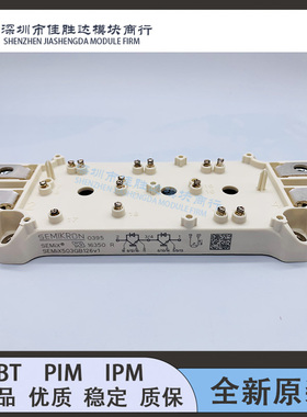 SEMIX453GB12VS SEMIX303GB12VS SEMIX503GB126V1SEMIX703GB126V1