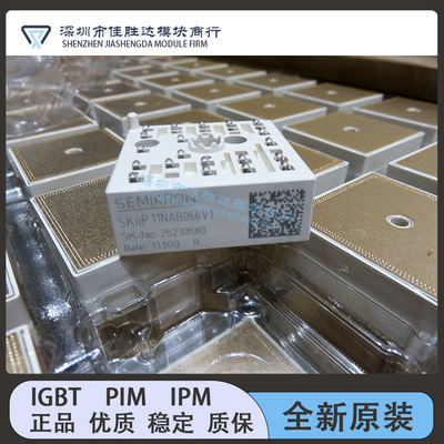 SKIIP13NAB065V1 SKIIP11NAB066V1 SKiiP14NAB066V1 12NAB126V1