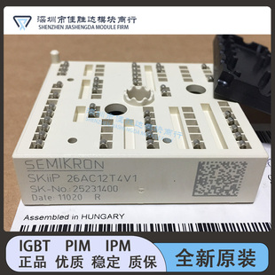 SKIIP26AC12T4V1 SKIIP25AC126V1 SKIIP25AC12T4V1 KIIP24AC126V1