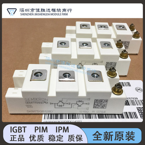 SKM75GB123D SKM75GB128D SKM100GB128 SKM145GB123D SKM50GB12T4