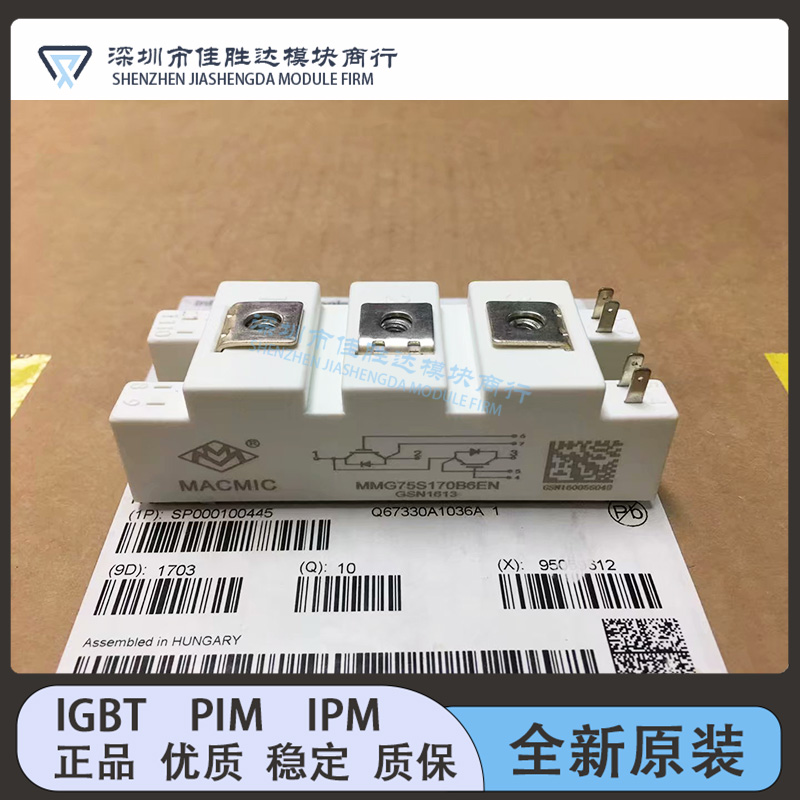 MMG150S060B6R MMG200S060B6EN MMG100S170B6EN MMG75S170B6EN 50