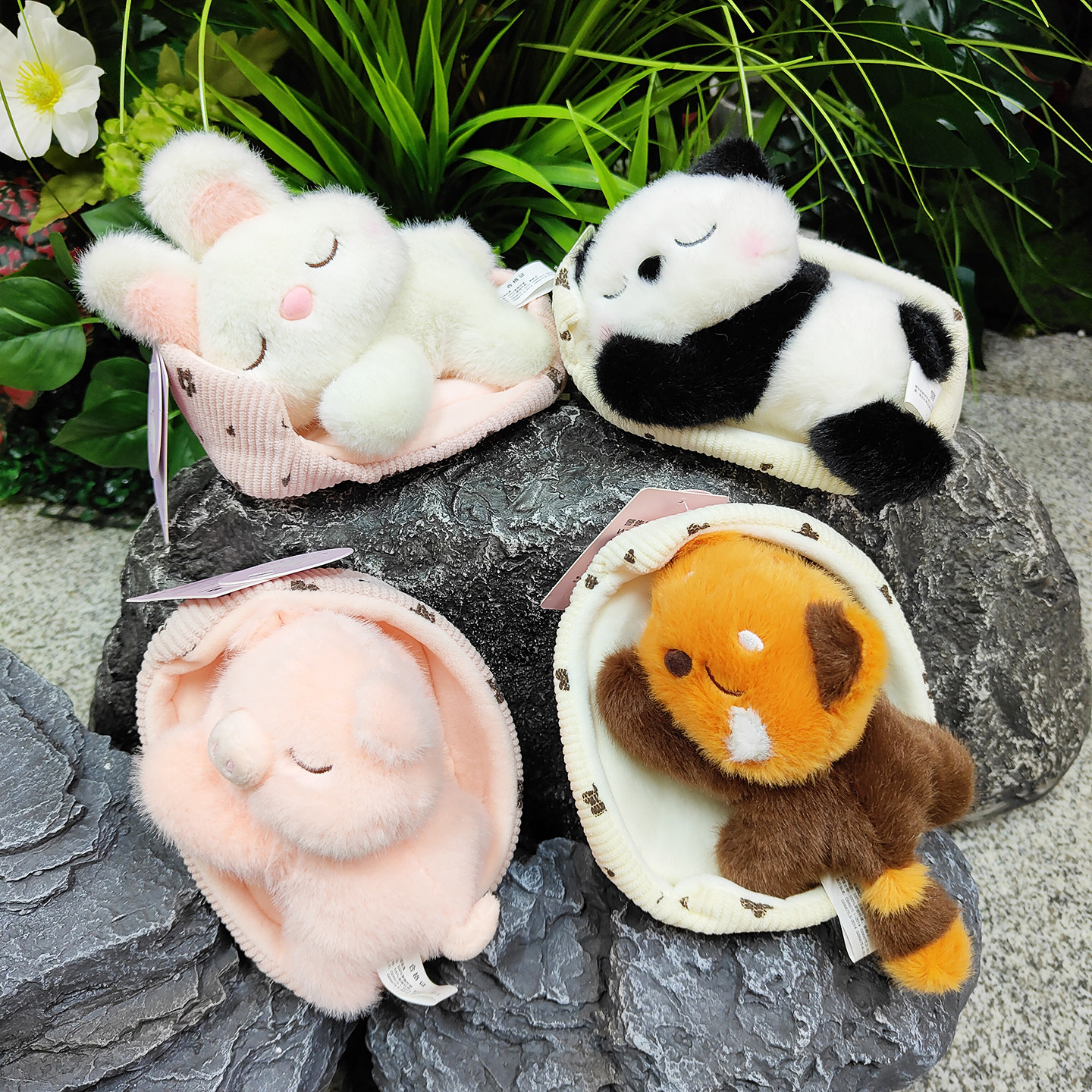 创意玩偶可爱桌伴睡篮窝窝小兔狗猫咪怕怕公仔车载摆件陪伴儿童女,玩具/童车/益智/积木/模型,毛绒/玩偶/公仔/布艺类玩具,淘宝优惠券,粉丝福利购,淘宝优惠卷