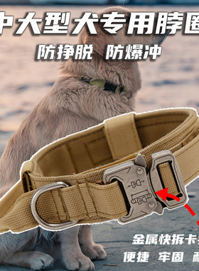 狗狗项圈中大型犬专用脖圈栓狗项圈金毛马犬德牧颈圈结实防爆冲