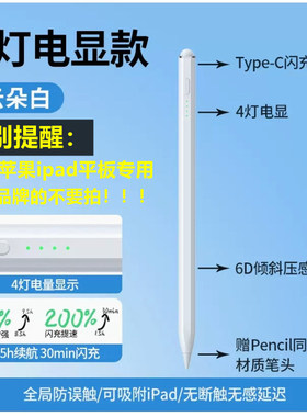 绿联25942适用于苹果ipad专用触控笔白色LP787/POM笔头四灯显c口