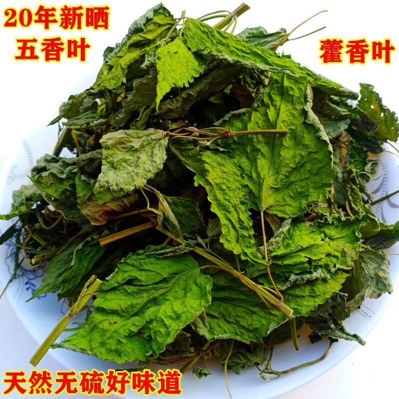 20年新鲜晒干河南五香叶藿香叶农家无硫天然好味道150克做鱼炖汤