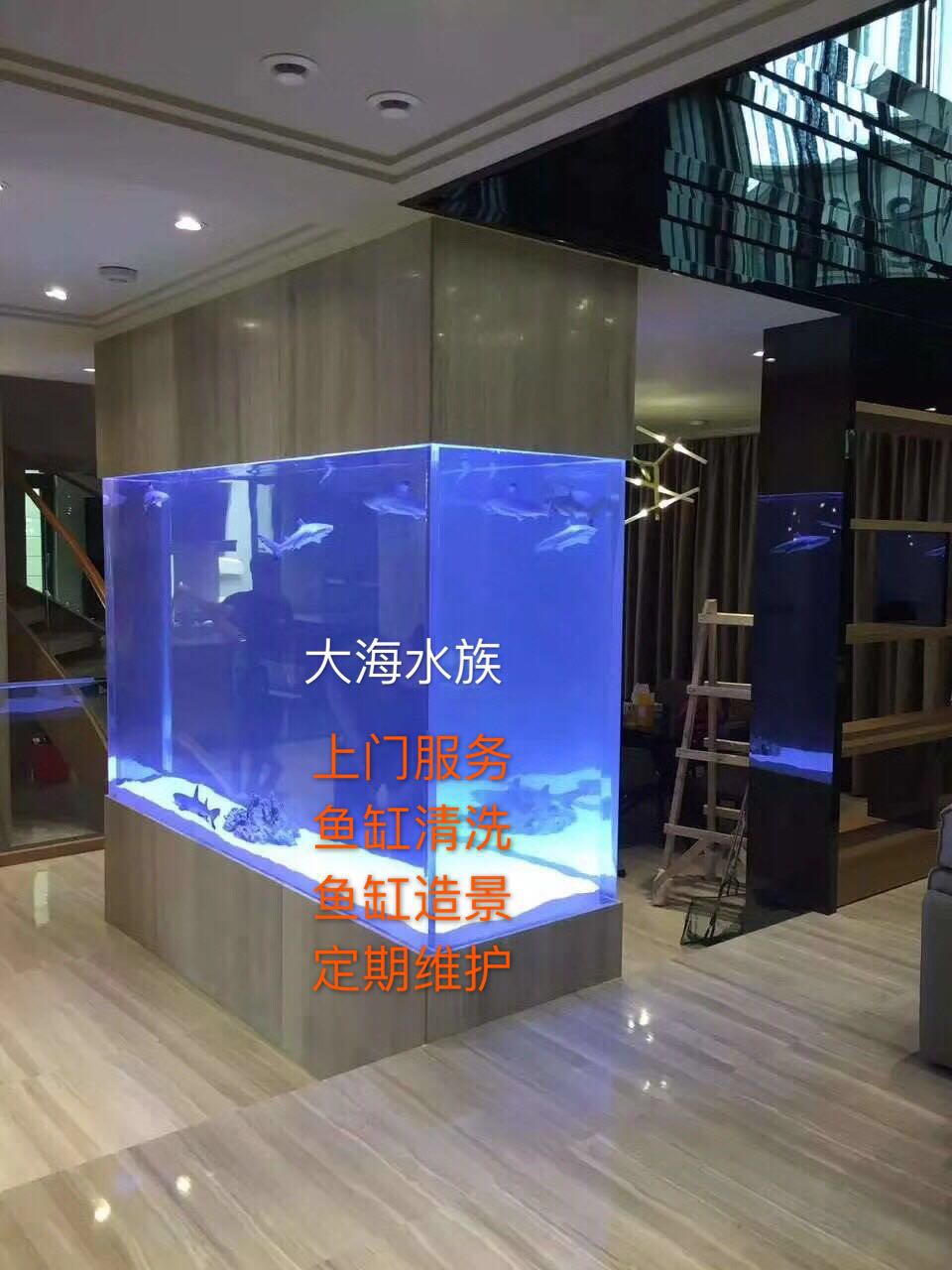 苏州上门鱼缸清洗造景观赏鱼