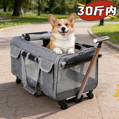 狗包外出中小型犬大号猫包拉杆包