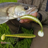ESFISHING路亚软饵T尾4寸Ripple4.7克6条反螺纹扰流鳜鱼soft lure