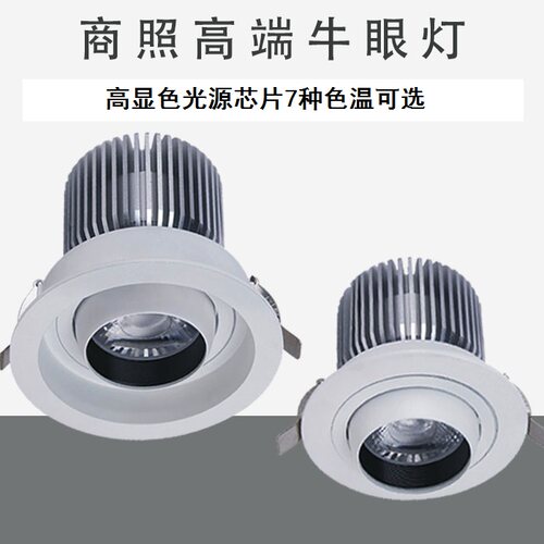 嵌入式led牛眼射灯20w30w