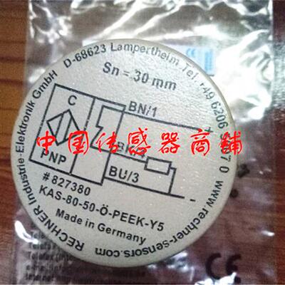 全新RECHNER瑞奇能感应器 KAS-80-50-O-PEEK-Y5 质量保证