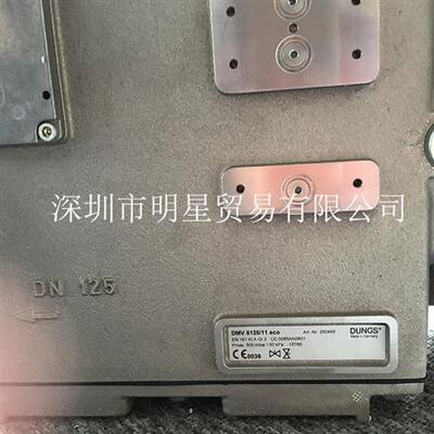德国DUNGS DMV 5125/11 eco燃气电磁阀全新正品假一罚十