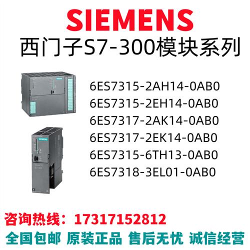模块6ES7315/7317/7318/AH/EH/AK/EK/TH/EL/AB/0/2/3/6/01/13/14