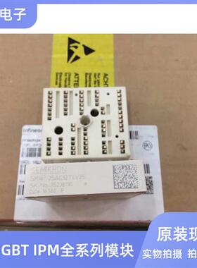 全新原装SKIIP25AC12T4V25 SKIIP26AC12T4V1 SKIIP25AC126V1 现货