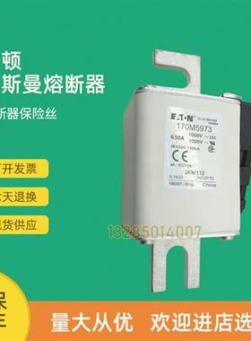 全新快速熔断器保险170M5922 170M5923 170M5924 170M5925