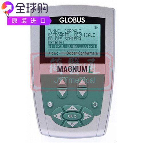 Globus Magnum L专为康复和健康治疗低频磁疗设备