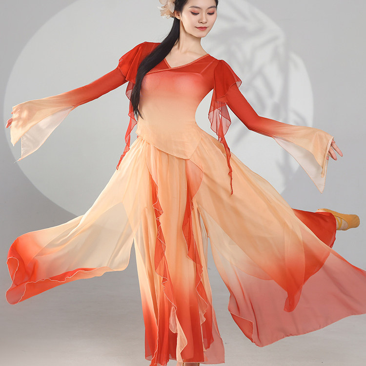 古典舞蹈服女纱衣民族舞练功服