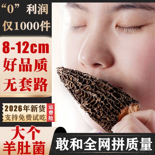 2026大个羊肚菌干货新货煲汤