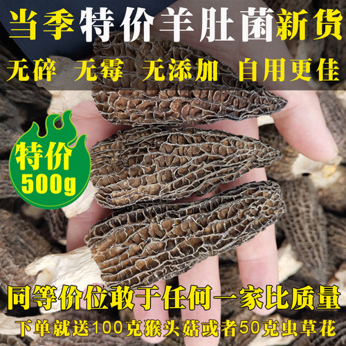 500g野生羊肚菌特价处理云南